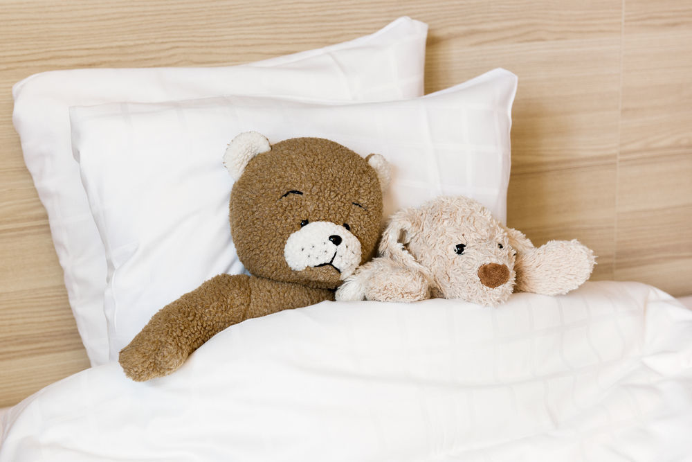 Scandic Hotel 4*